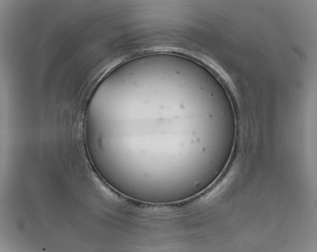 X0000111860801200907231129