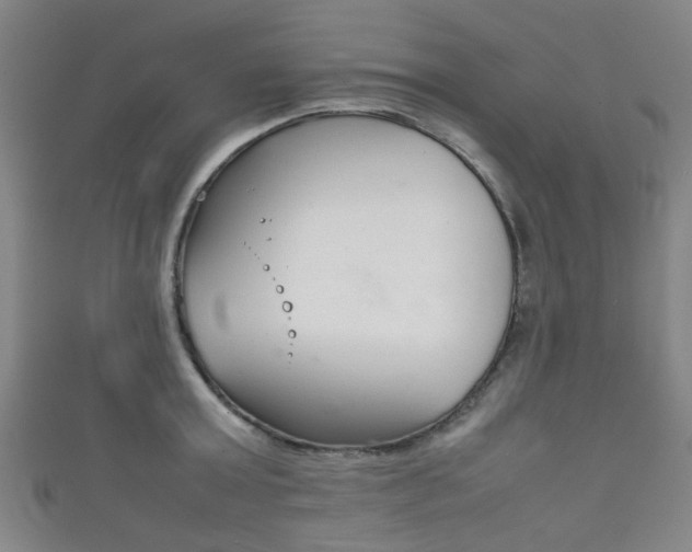 X0000111860803200907231129
