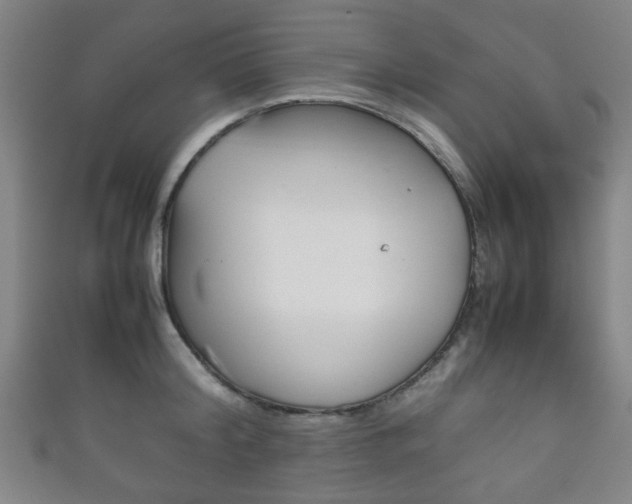 X0000111860804200907231129