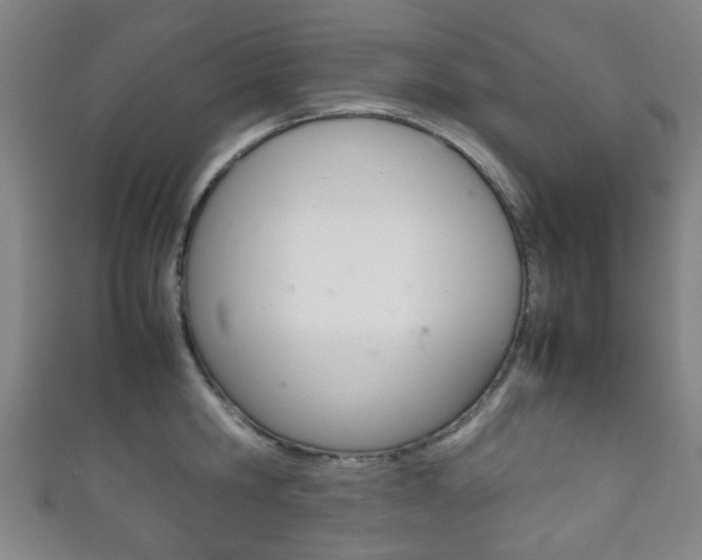 X0000111860806200907231129