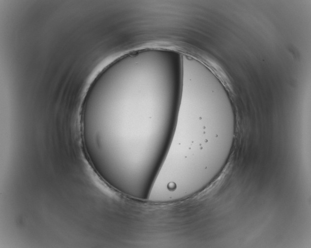 X0000111860808200907231129