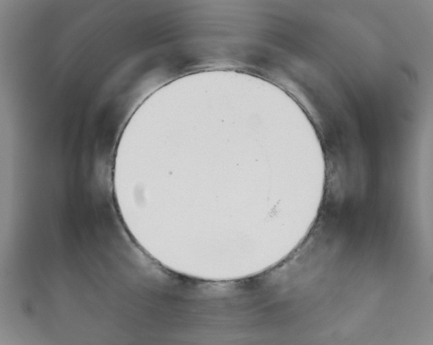 X0000111860810200907231129