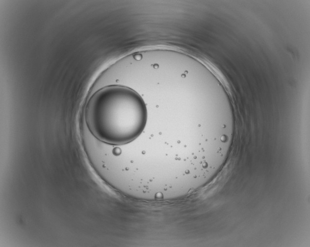 X0000111860813200907231129