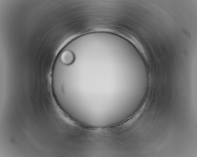X0000111860814200907231129