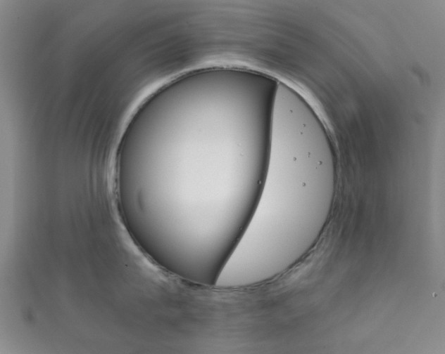 X0000111860815200907231129