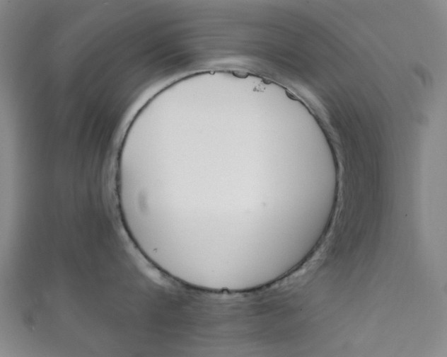 X0000111860816200907231129