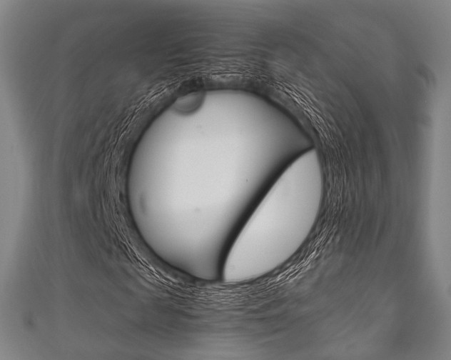 X0000111860817200907231128