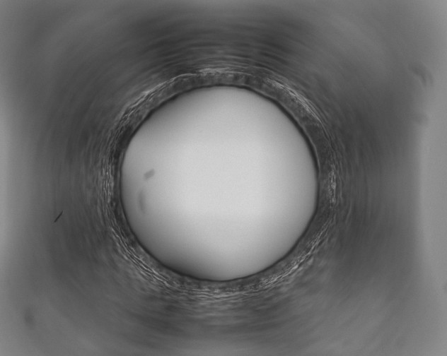 X0000111860821200907231128