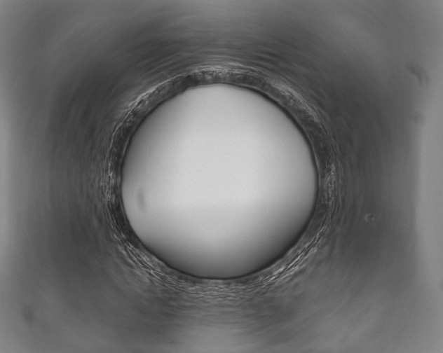 X0000111860822200907231128