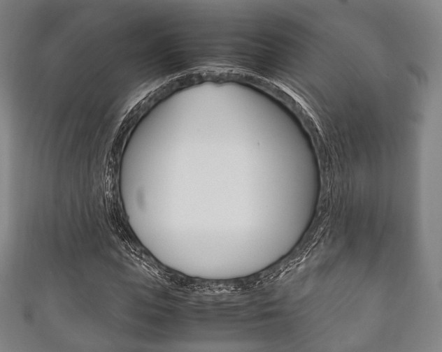 X0000111860823200907231128
