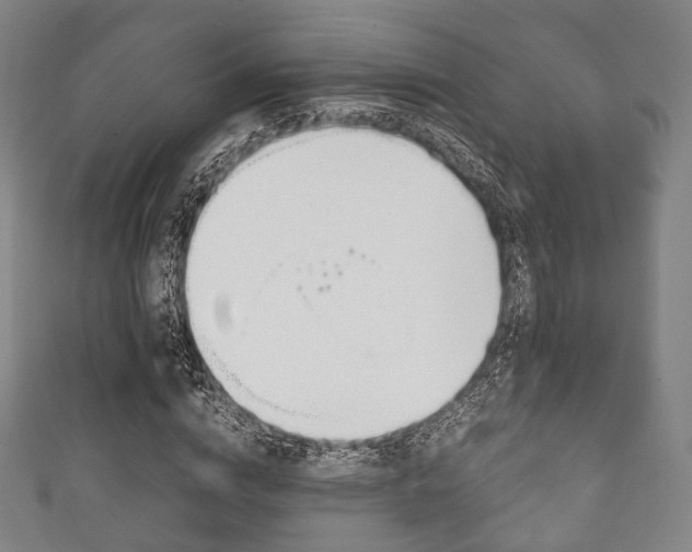 X0000111860824200907231128