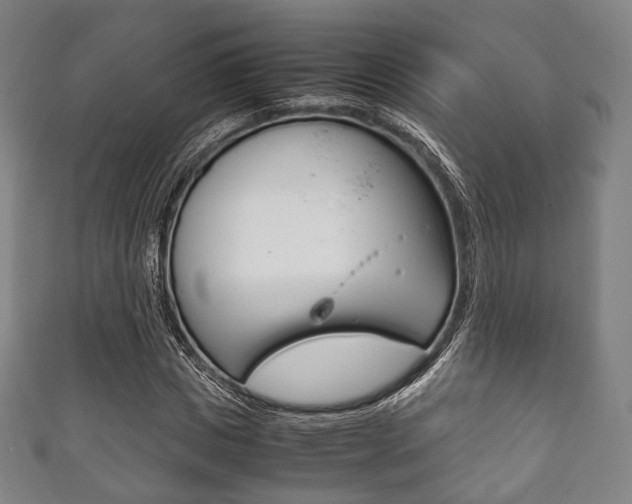 X0000111860825200907231128