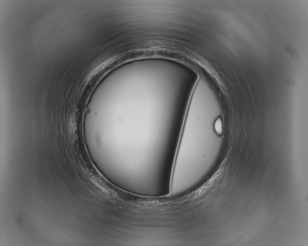 X0000111860826200907231128