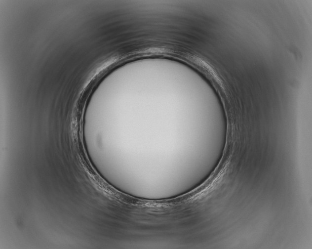 X0000111860827200907231128