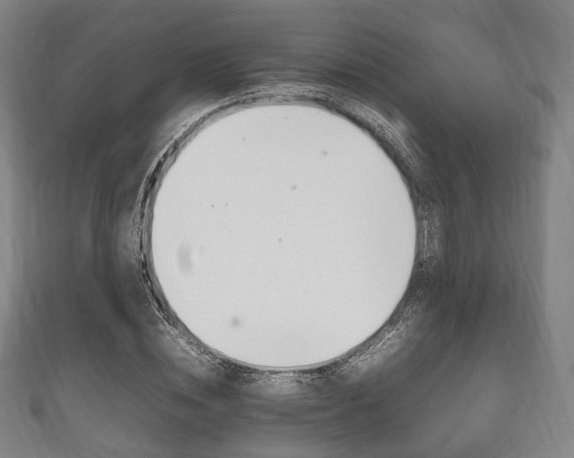 X0000111860828200907231128