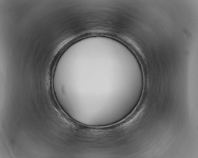 X0000111860829200907231128