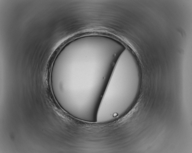 X0000111860830200907231128