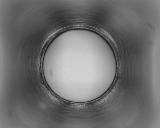 X0000111860831200907231128