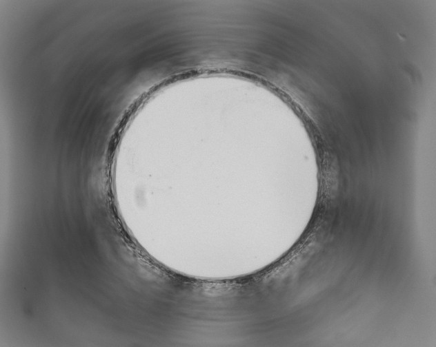 X0000111860832200907231129