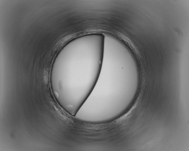 X0000111860833200907231129