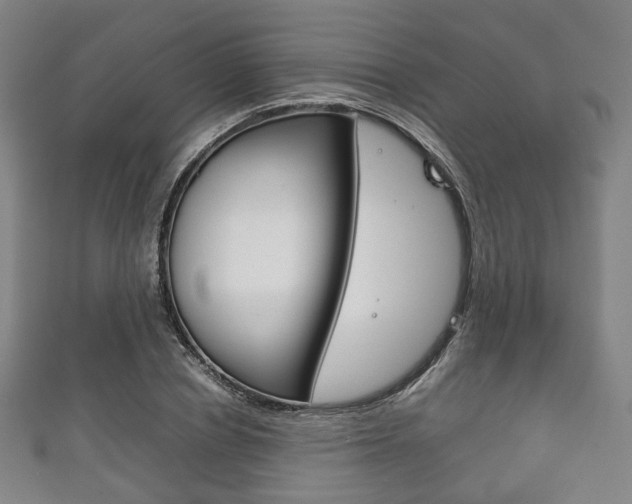 X0000111860834200907231129