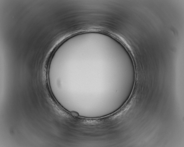 X0000111860835200907231129