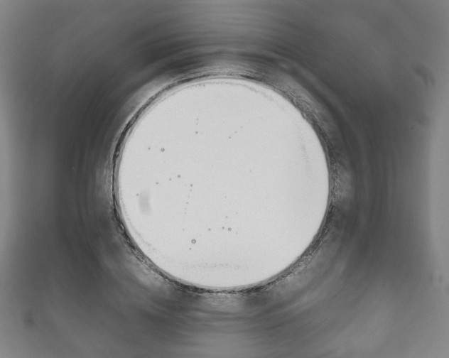 X0000111860836200907231129