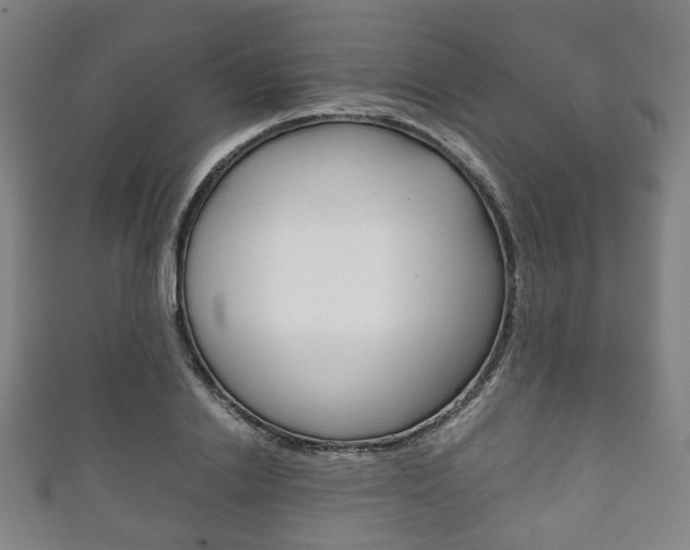 X0000111860838200907231129