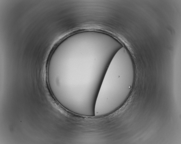X0000111860840200907231129