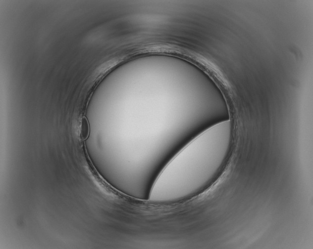 X0000111860841200907231129