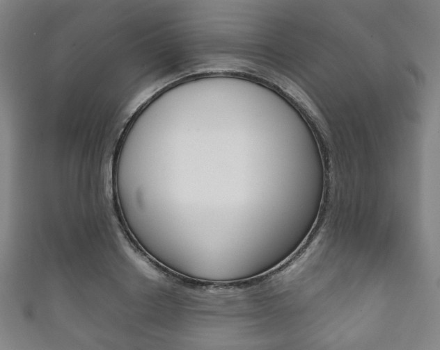 X0000111860842200907231129