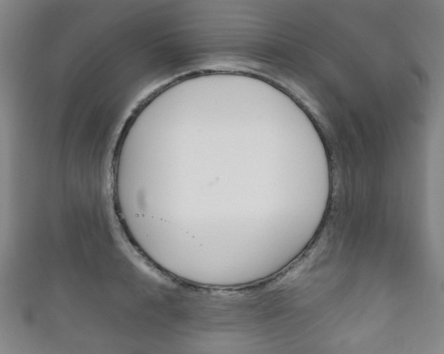 X0000111860848200907231129