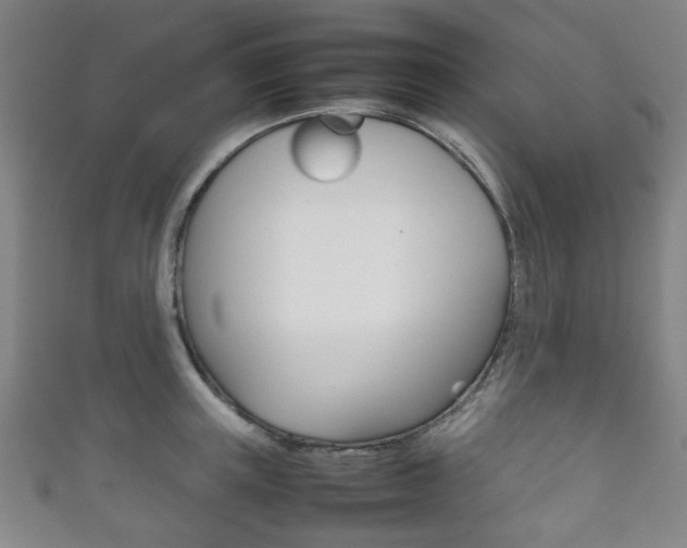 X0000111860851200907231129
