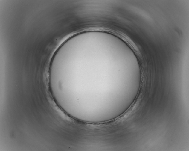 X0000111860852200907231129