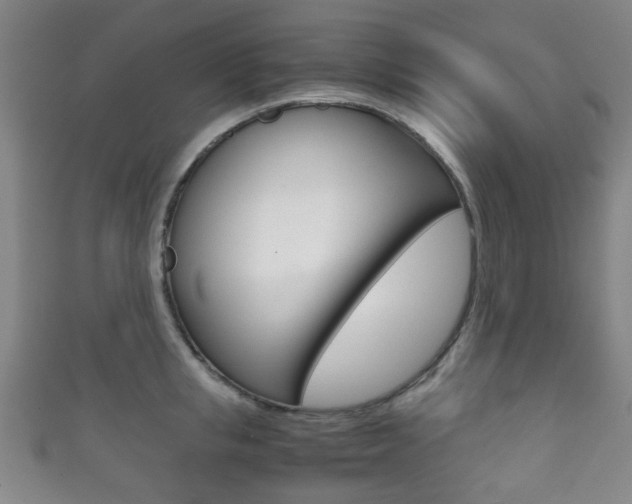 X0000111860853200907231129
