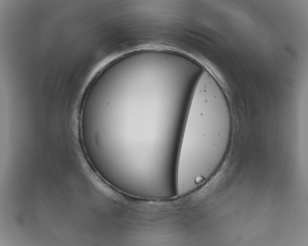 X0000111860854200907231129