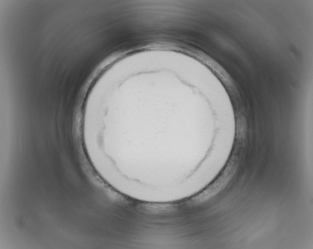 X0000111860856200907231129
