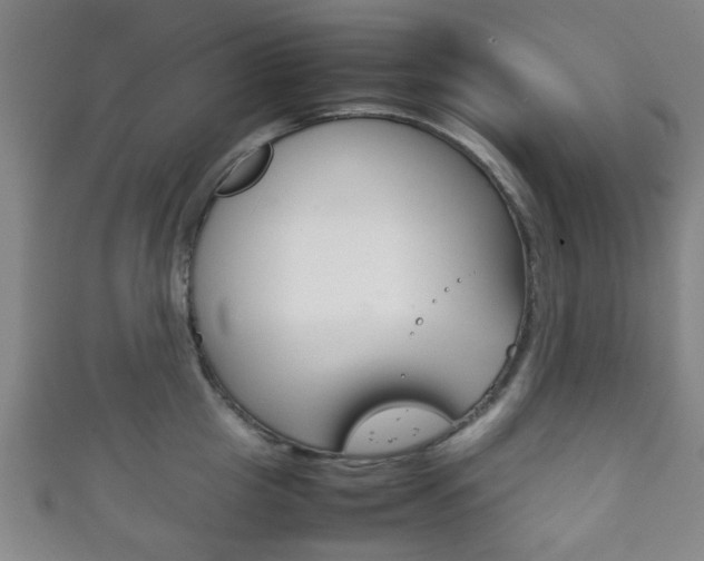 X0000111860857200907231129
