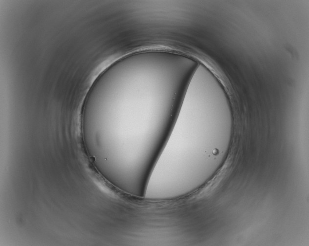 X0000111860858200907231129