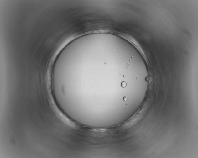 X0000111860859200907231129