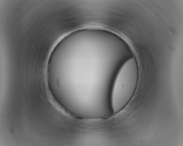 X0000111860864200907231129