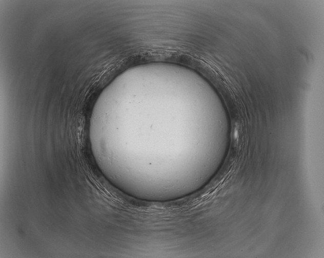 X0000111860867200907231128