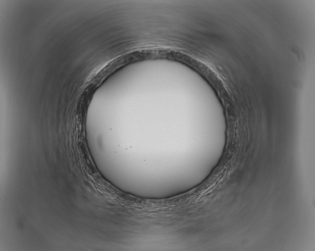 X0000111860871200907231128