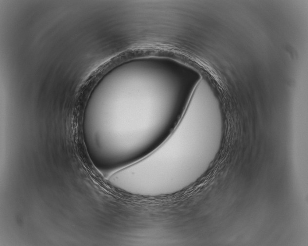 X0000111860872200907231128