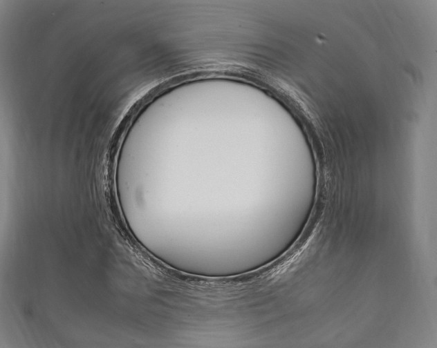 X0000111860875200907231128