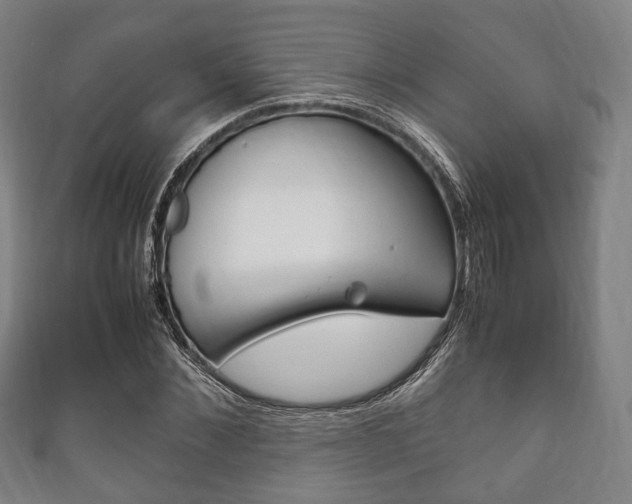 X0000111860876200907231128