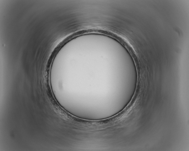 X0000111860879200907231128