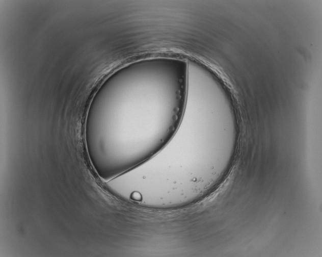 X0000111860881200907231128