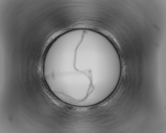 X0000111860882200907231128