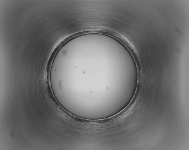 X0000111860883200907231128